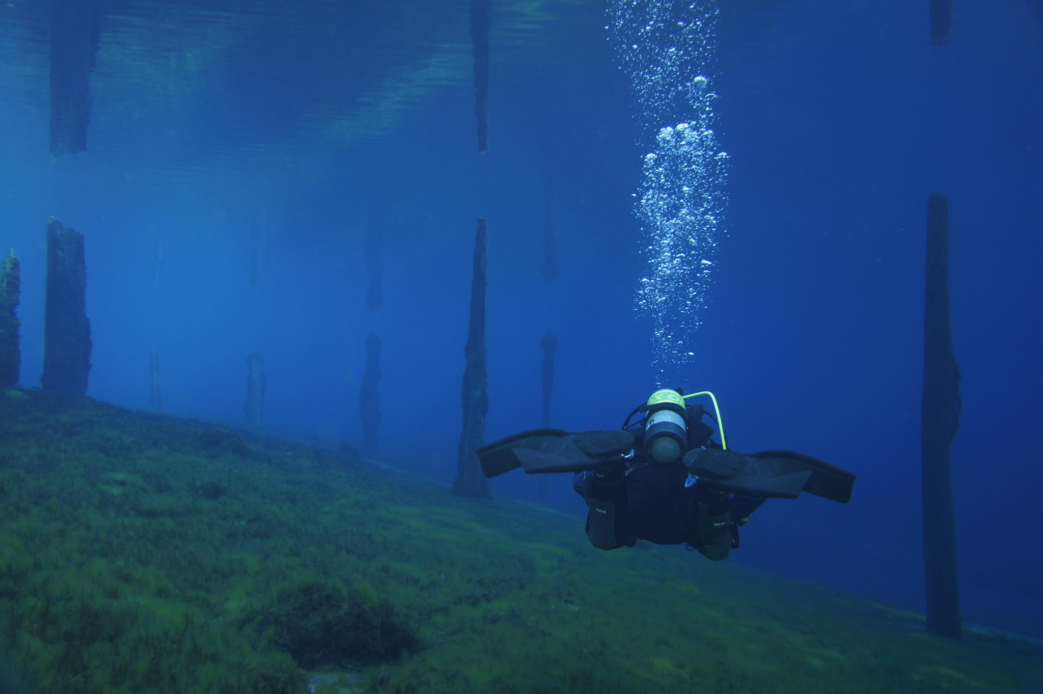 BARE Sales Shop -BARE Sales Shop 1072640 10151739437539711 43433518 o