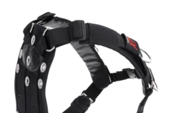 Transpac XT -BARE Sales Shop new transpac 2