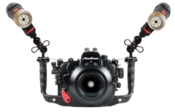 Sea Dragon Ball Joint Adapter -BARE Sales Shop sealifeflexconnectballmountadaptersidepic1