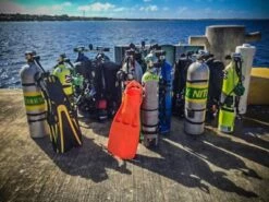 O2 Service Tech 5 O2 Service Tech -BARE Sales Shop ss8zuq 0